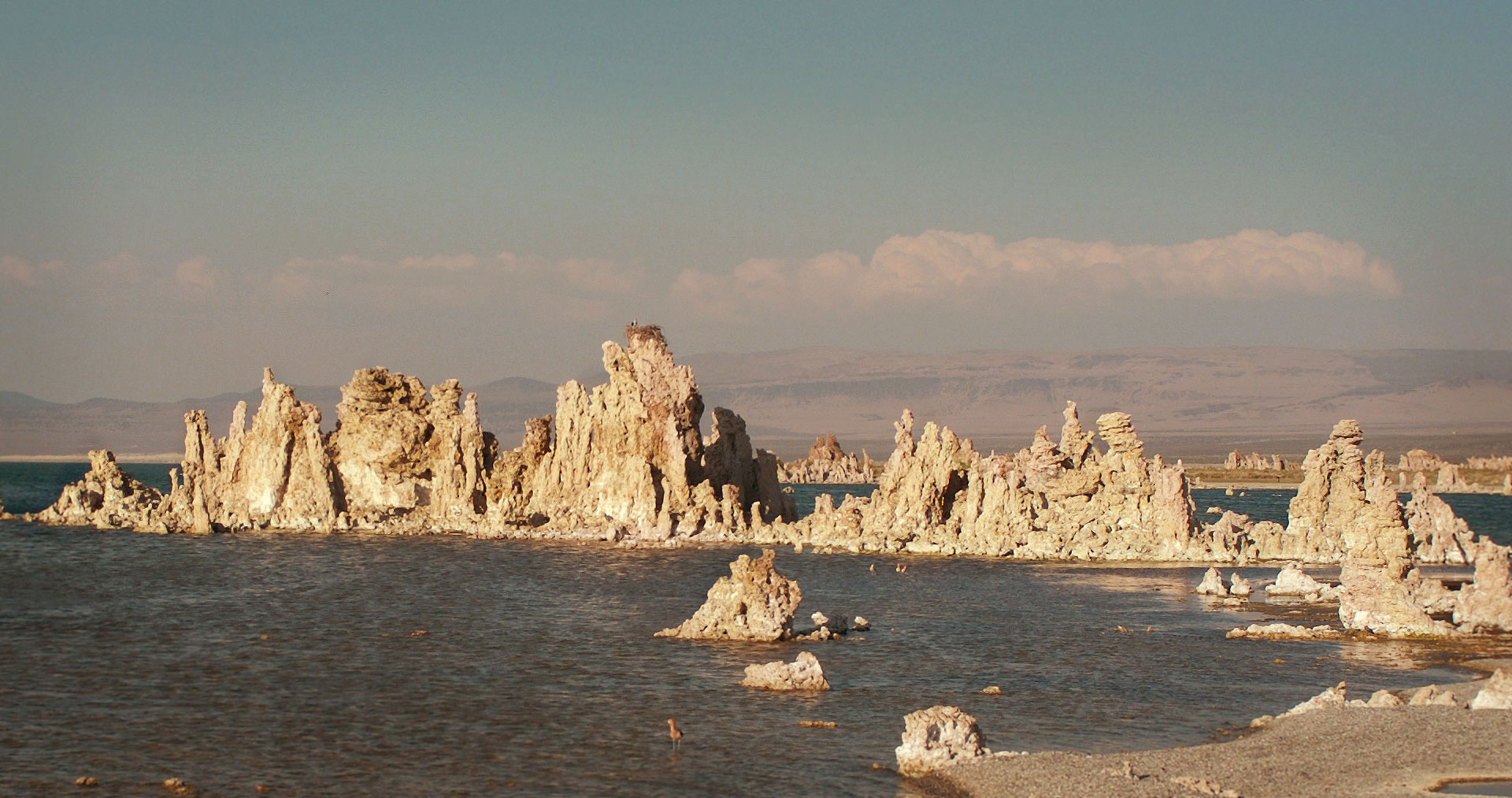 Mono Lake Postcard