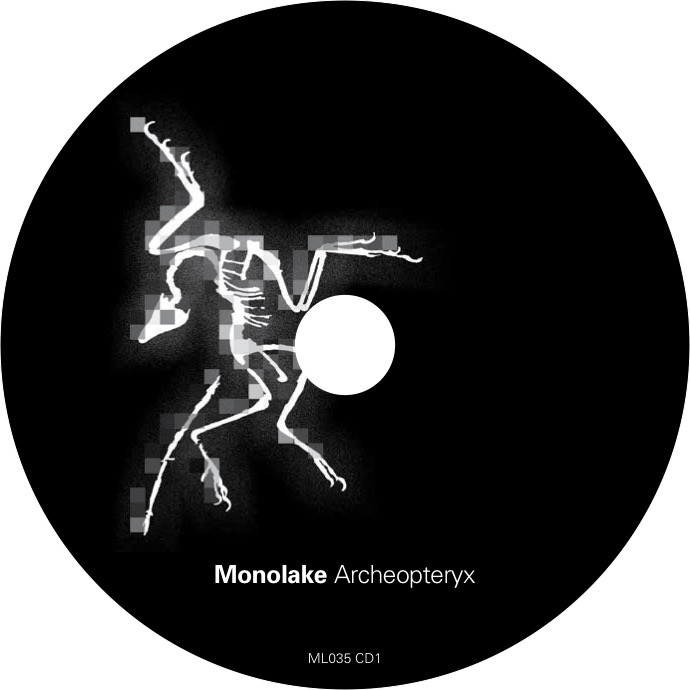 Monolake - Archaepteryx CD print