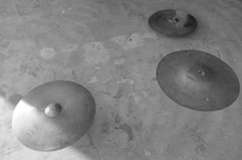 microsphere